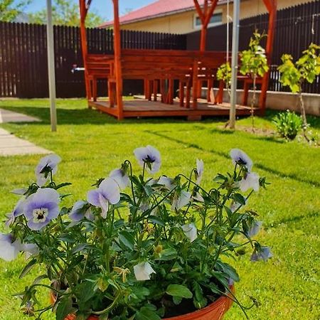 Вилла Casa Caraua Greci Экстерьер фото