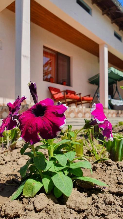 Вилла Casa Caraua Greci Экстерьер фото